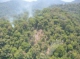 Costa Rica Mountains saved from forest fires